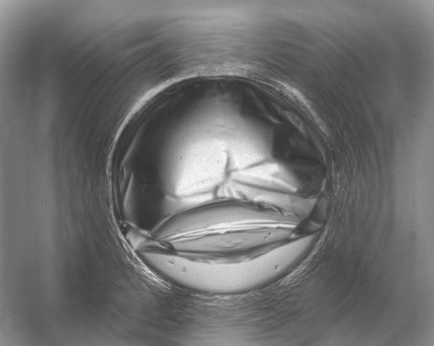 X0000053141184200508081336