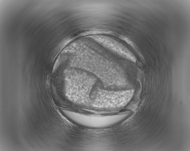 X0000053141185200508081336