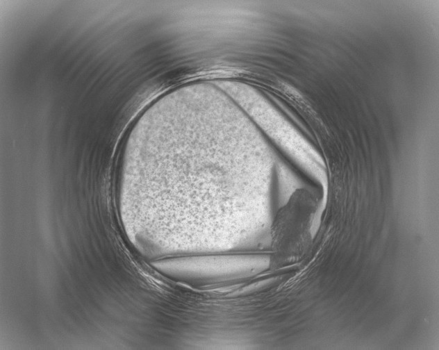 X0000053141186200508081336