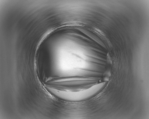 X0000053141188200508081336