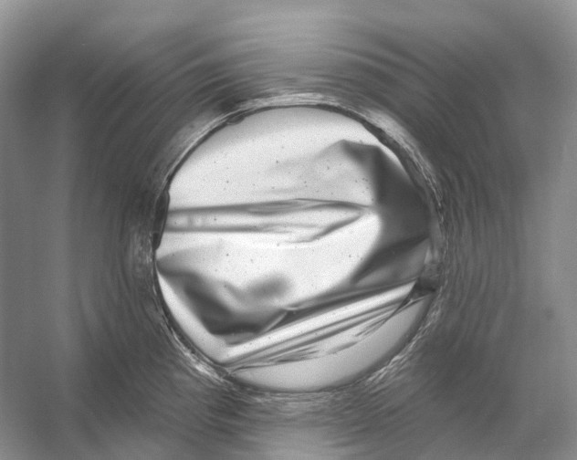 X0000053141193200508081336
