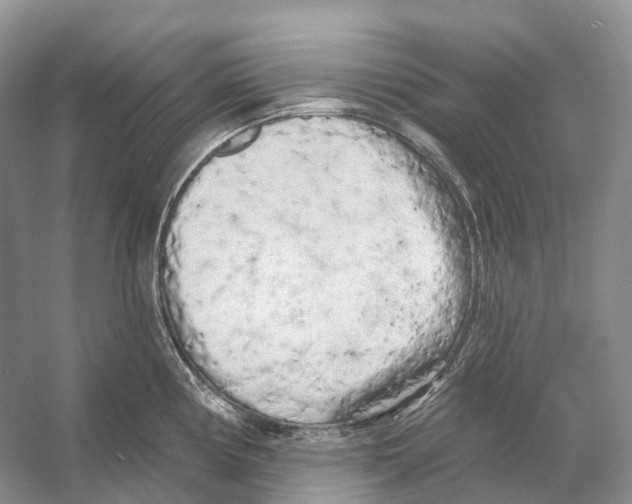 X0000053141194200508081336