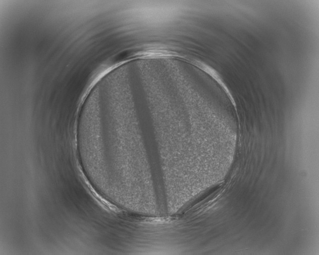 X0000053141195200508081336