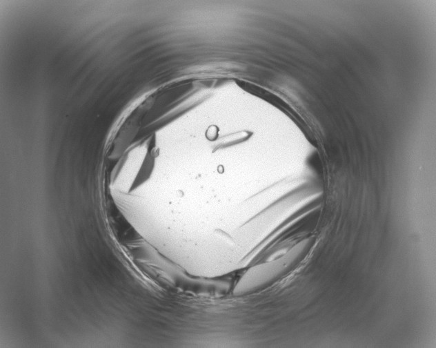 X0000053141196200508081336