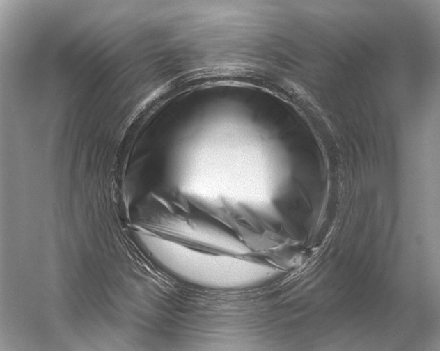 X0000053141210200508081335