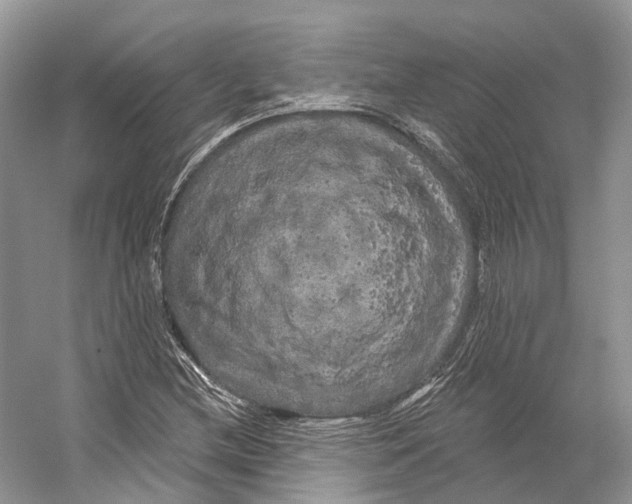 X0000053141212200508081335
