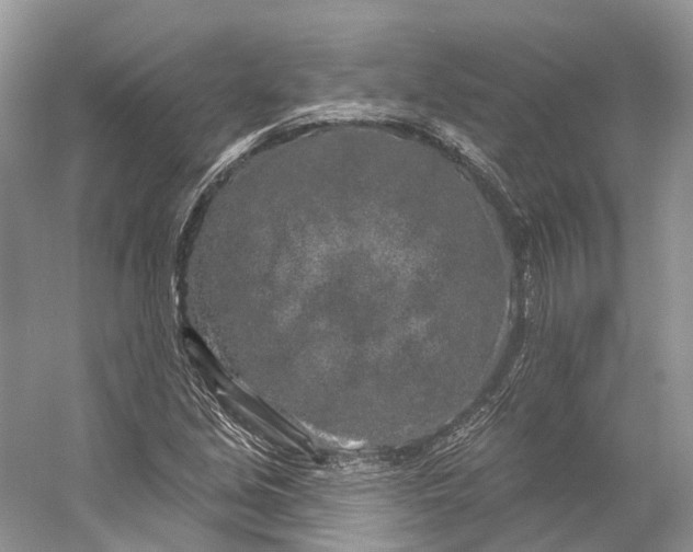 X0000053141213200508081335