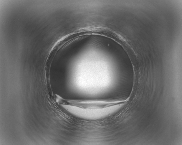X0000053141214200508081335