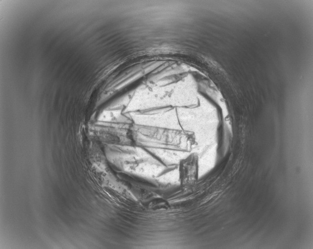 X0000053141217200508081335