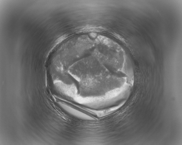 X0000053141219200508081335