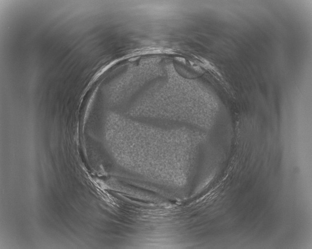 X0000053141220200508081335