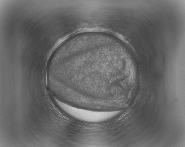 X0000053141221200508081335