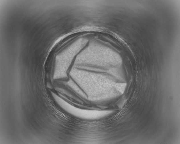 X0000053141222200508081335