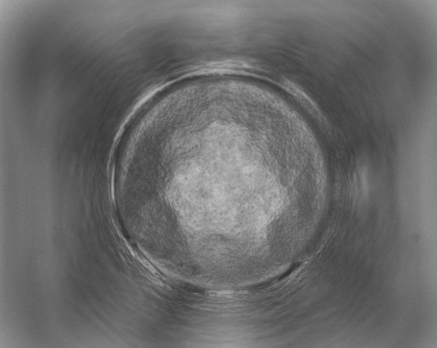 X0000053141224200508081336