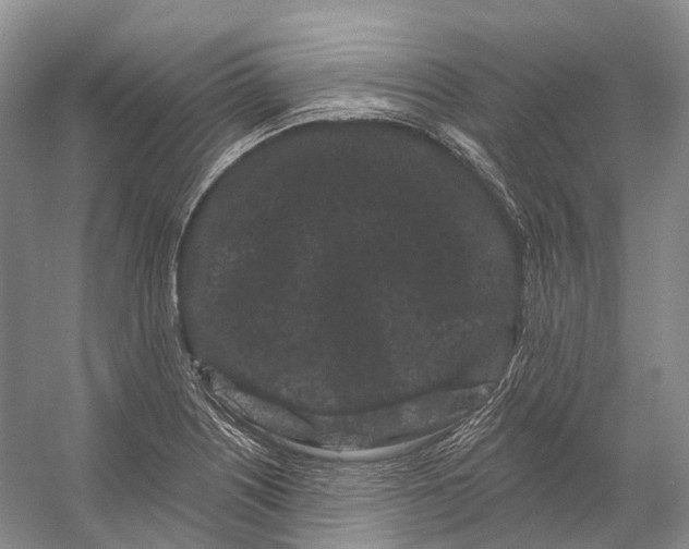 X0000053141226200508081336