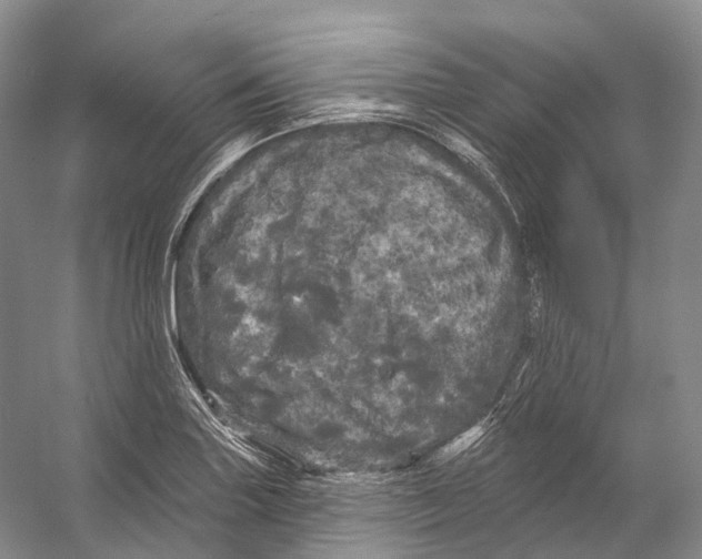 X0000053141227200508081336