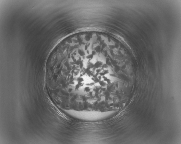 X0000053141228200508081336