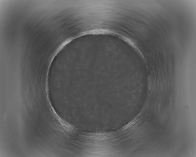 X0000053141229200508081336