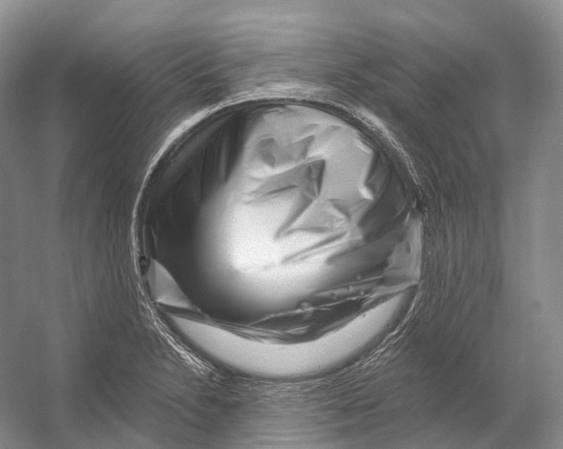 X0000053141230200508081336