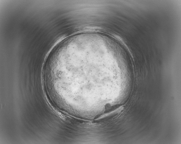 X0000053141235200508081336