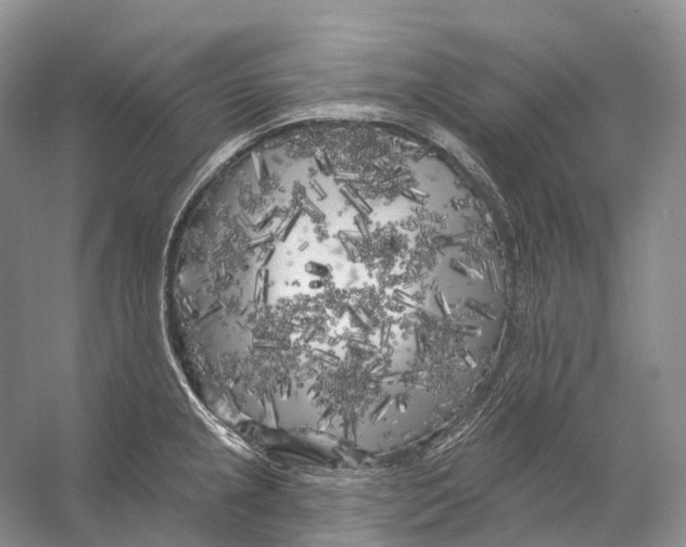 X0000053141237200508081336
