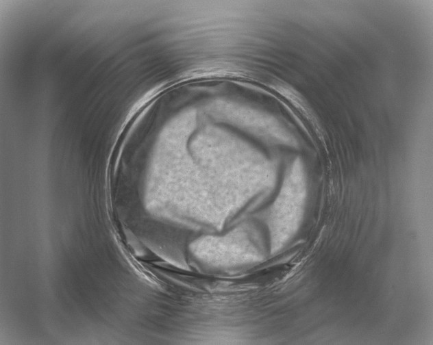 X0000053141242200508081336