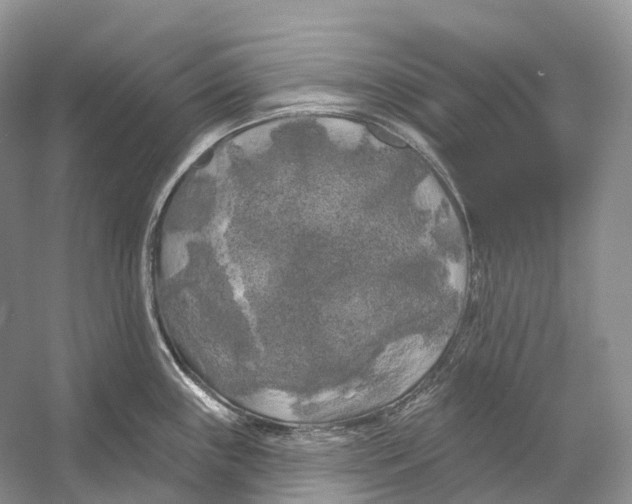 X0000053141243200508081336