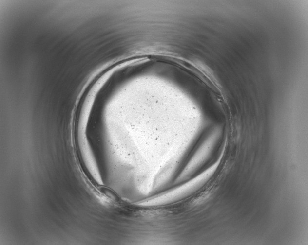 X0000053141246200508081336