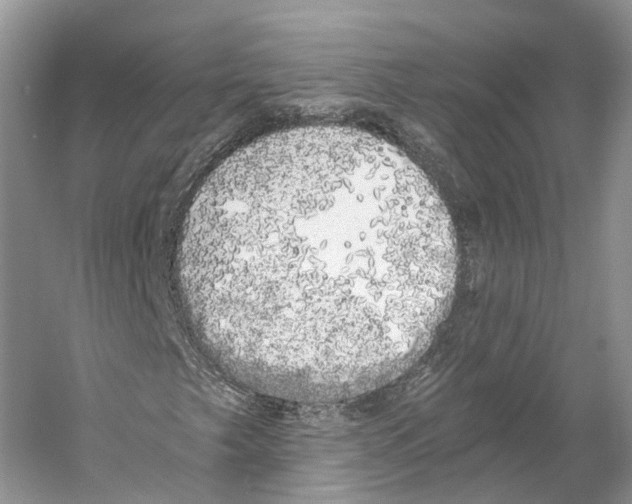 X0000053141249200508081335