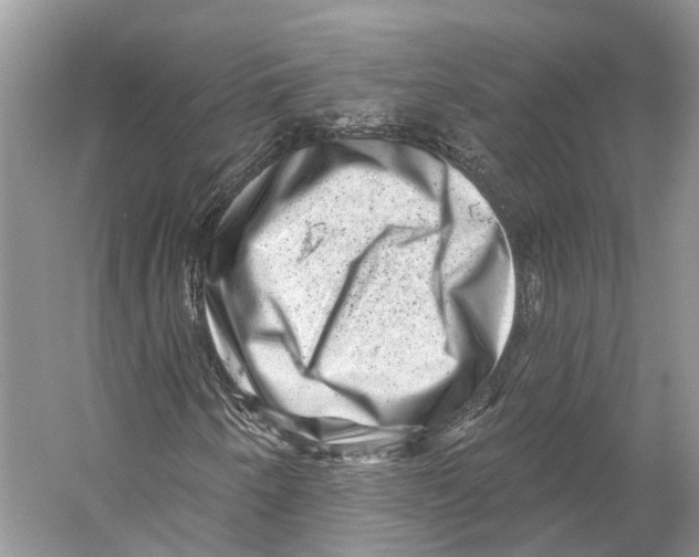 X0000053141250200508081335