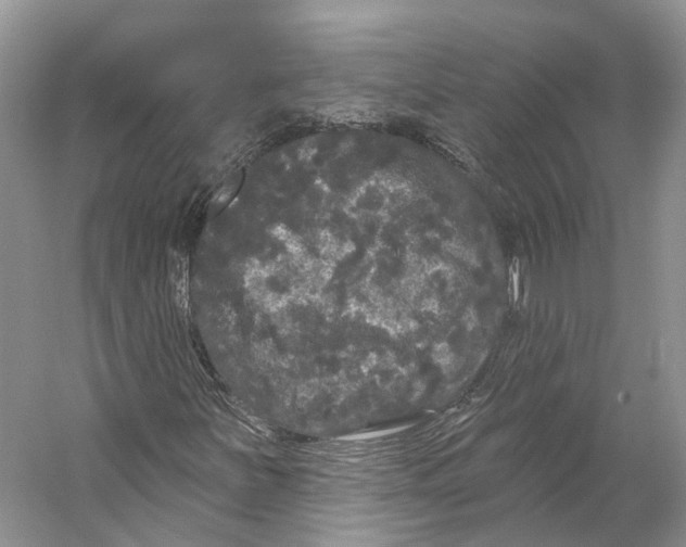 X0000053141251200508081335