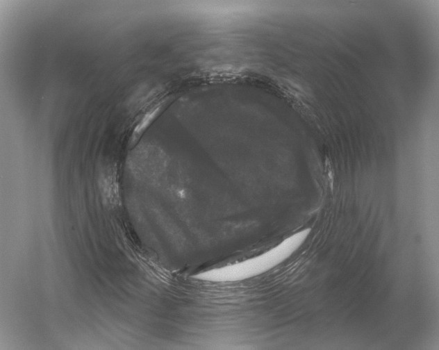 X0000053141252200508081335