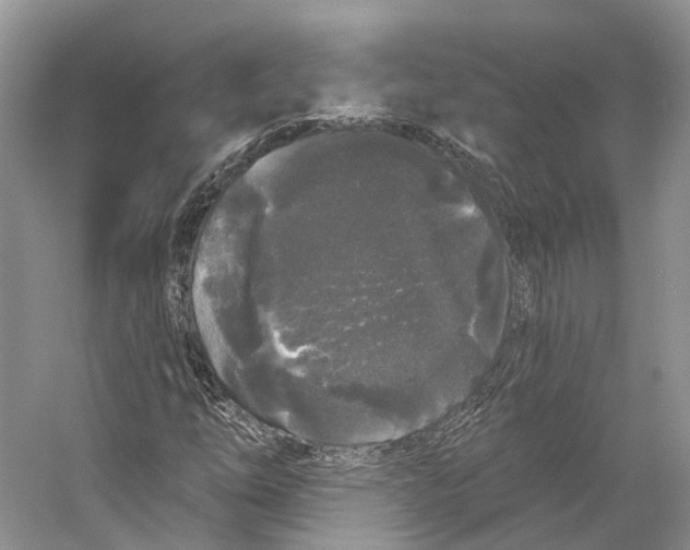 X0000053141254200508081335
