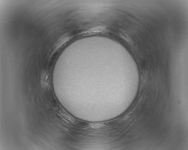X0000053141258200508081335