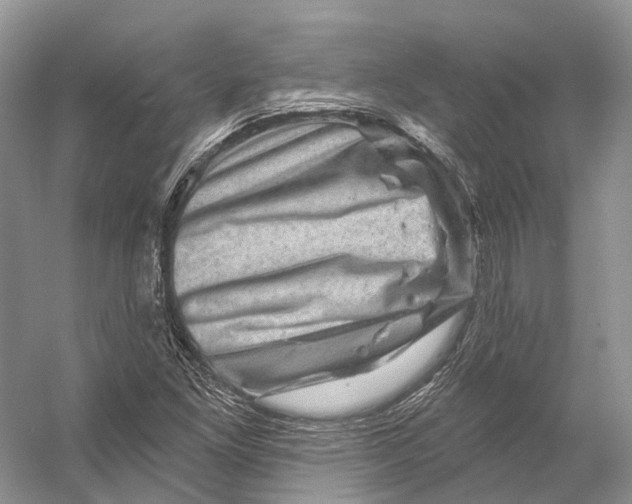 X0000053141261200508081335