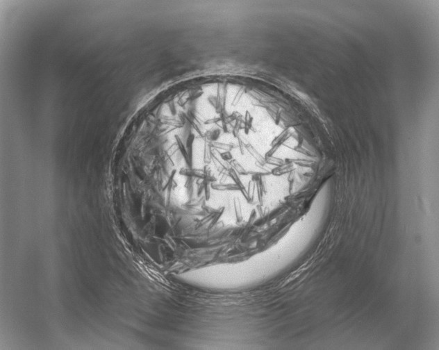 X0000053141264200508081335