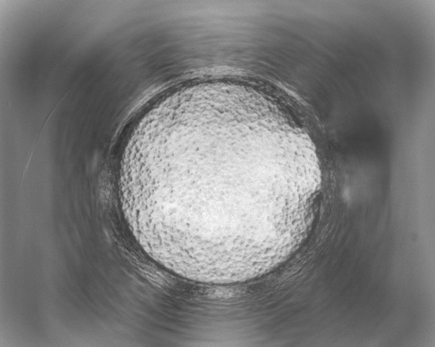 X0000053141266200508081335