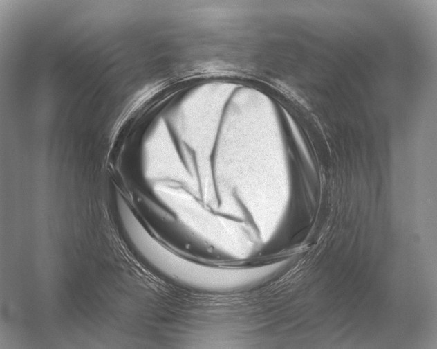 X0000053141269200508081335