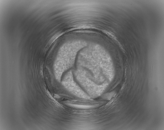 X0000053141273200508081335