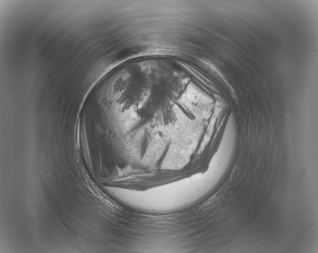 X0000053141276200508081335
