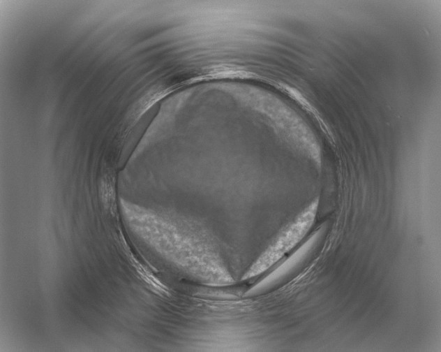 X0000053141281200508081335