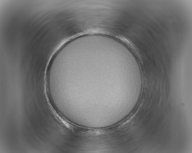 X0000053141286200508081334