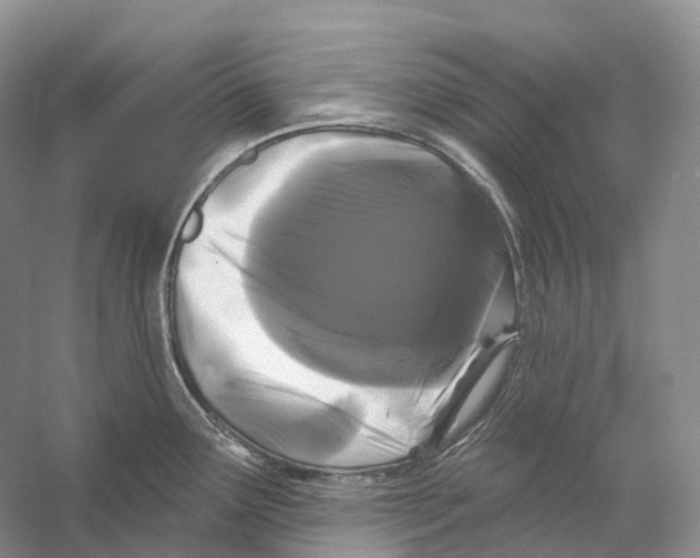 X0000053141291200508081334