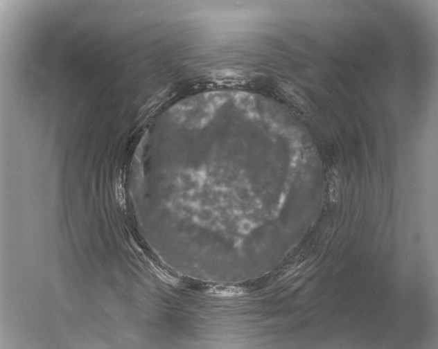 X0000053141298200508081333