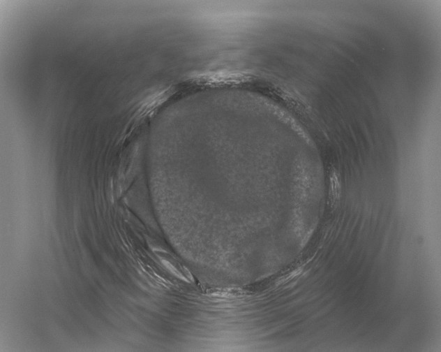 X0000053141300200508081334
