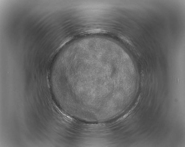 X0000053141305200508081334