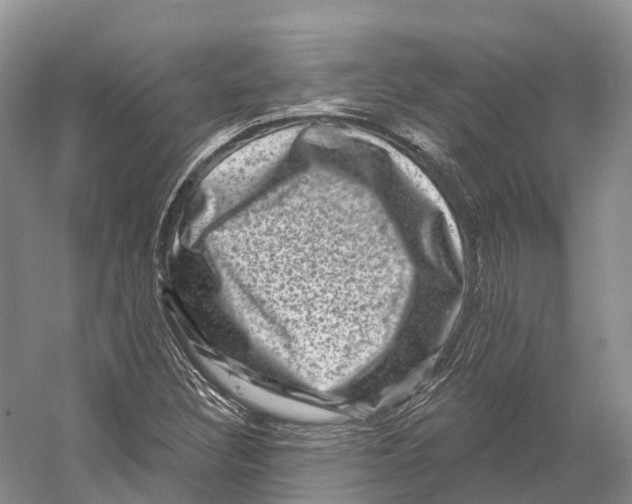 X0000053141308200508081334