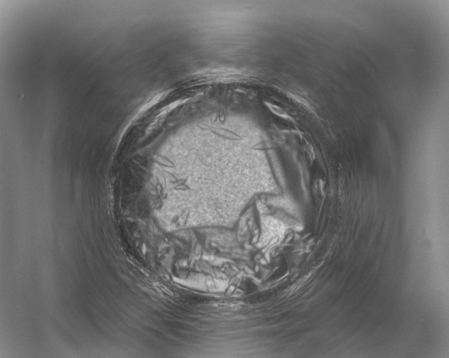 X0000053141309200508081334