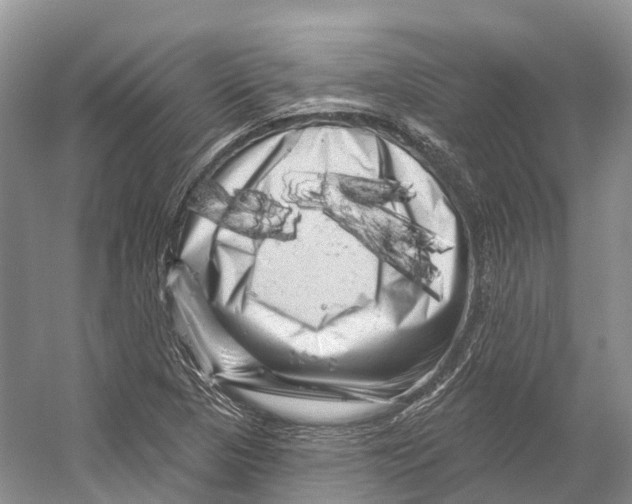 X0000053141313200508081334
