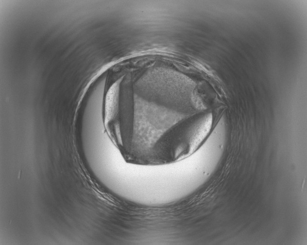 X0000053141316200508081334